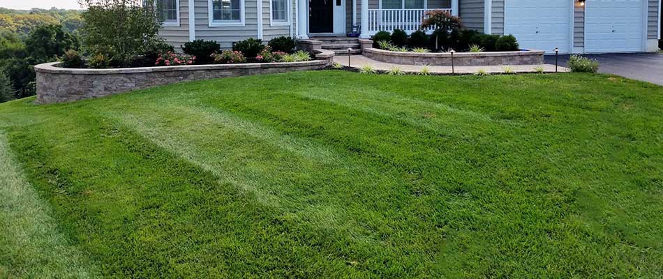 Weed-free home lawn in Exton, PA.