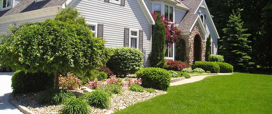 West Chester, PA yard with healthy trees and landscape shrubs.